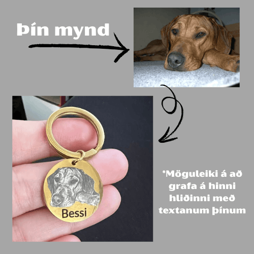 Lyklakippa með mynd - hring 24 Iceland