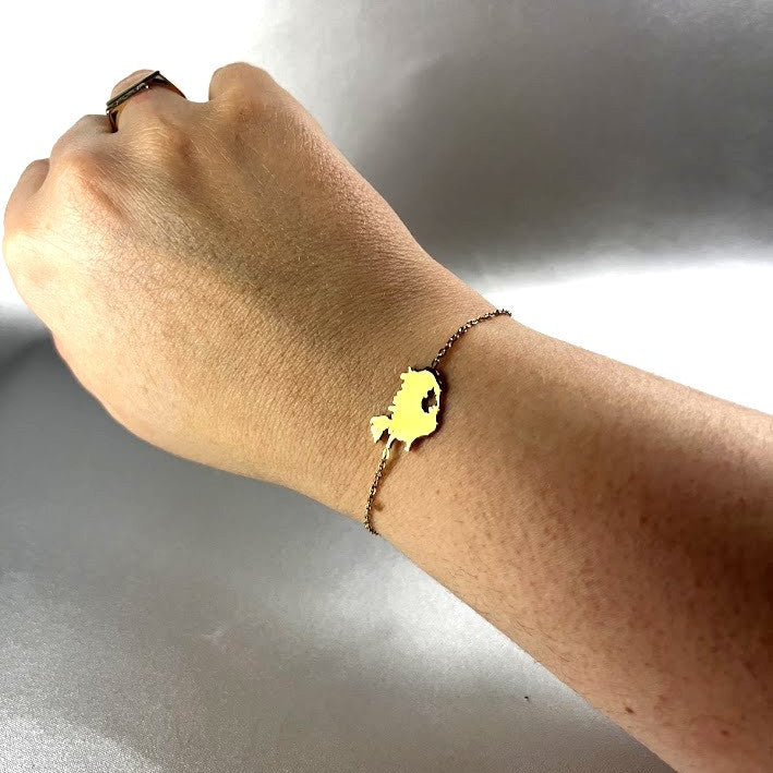 Ísland armband