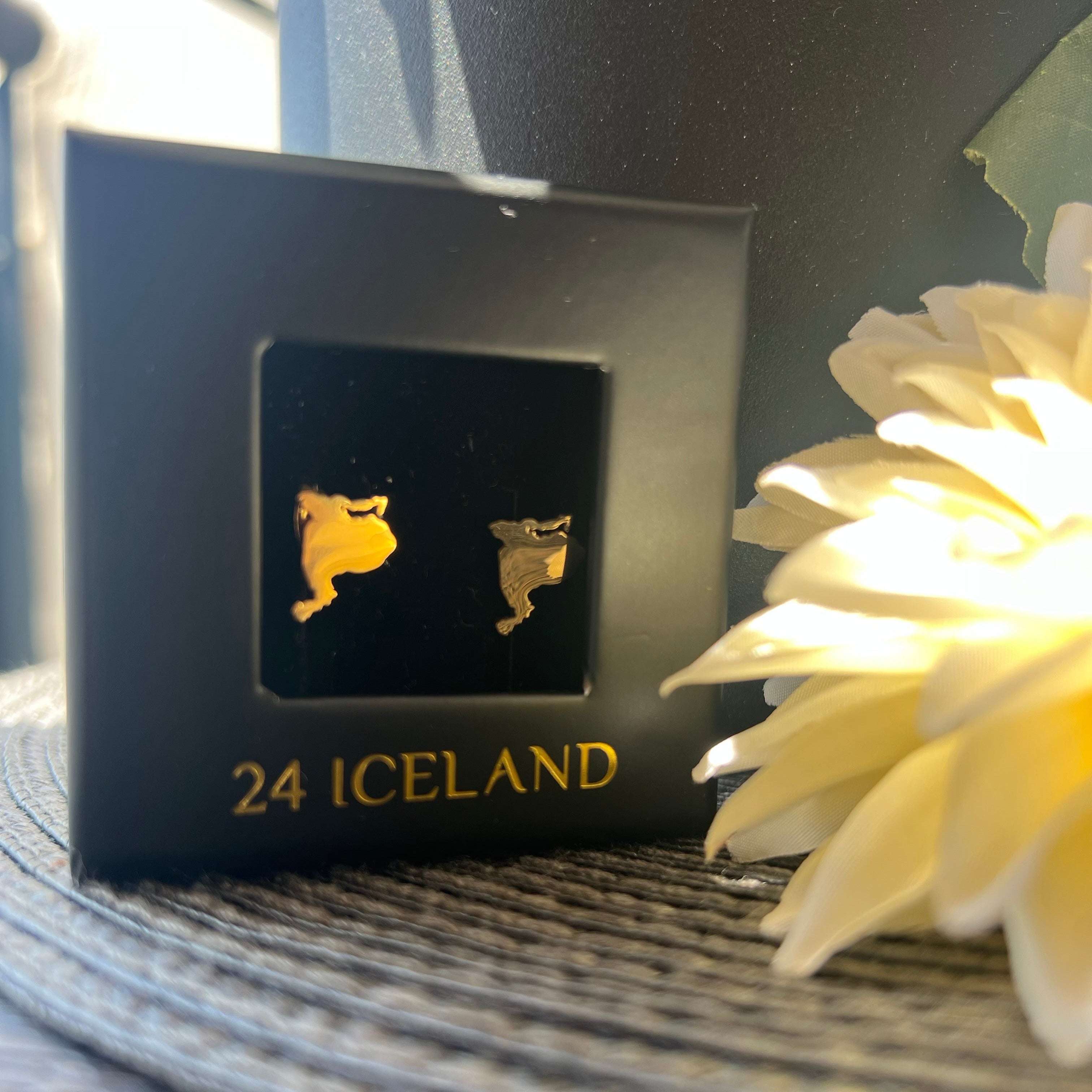 Vestmannaeyjar eyrnalokkar 24 Iceland